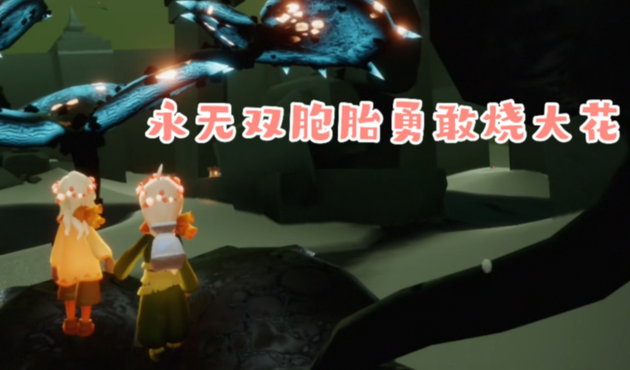 光遇暮土烧大花有什么用