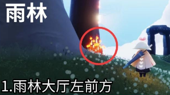 光遇萌新注意什么