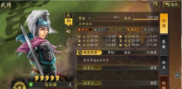 三国志战略版马云禄配什么