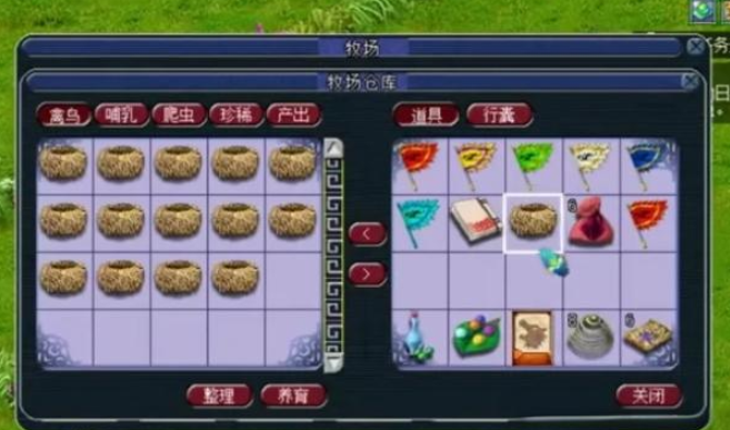 梦幻西游初级牧场养什么用