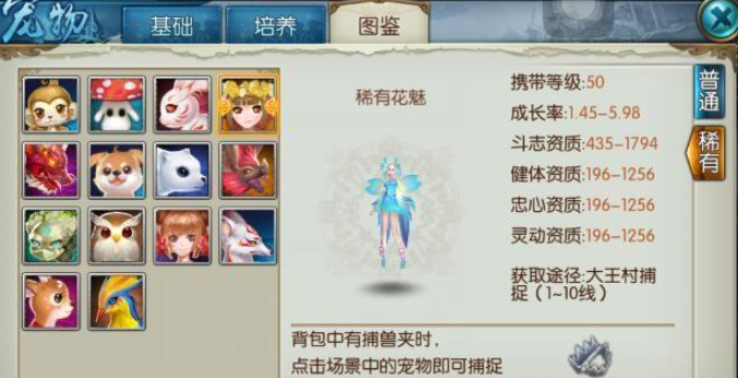 诛仙手游稀有花魁在哪抓