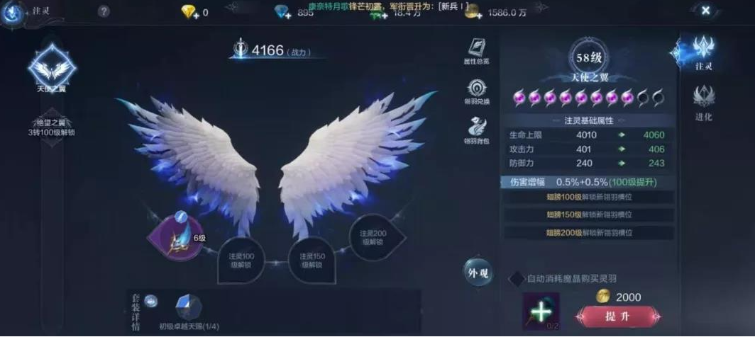 全民奇迹2翎羽带什么