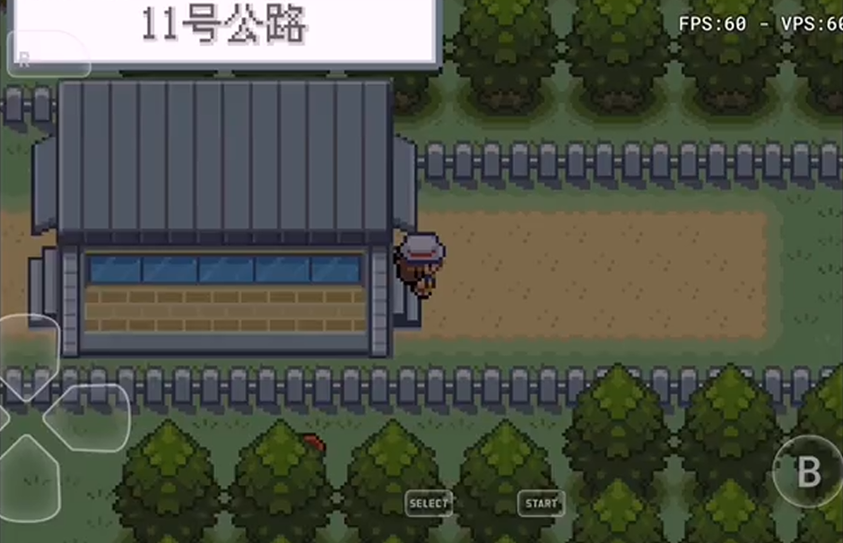 口袋妖怪火红寻宝机器在哪里