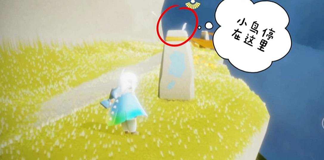 光遇怎么可以获得小鸟宠物