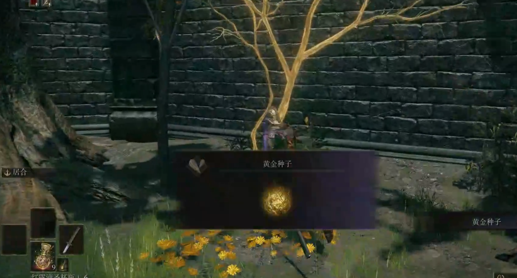 艾尔登法环前期完美开局怎么玩