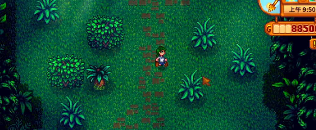 星露谷物语怎么去姜岛 星露谷物语怎么去姜岛