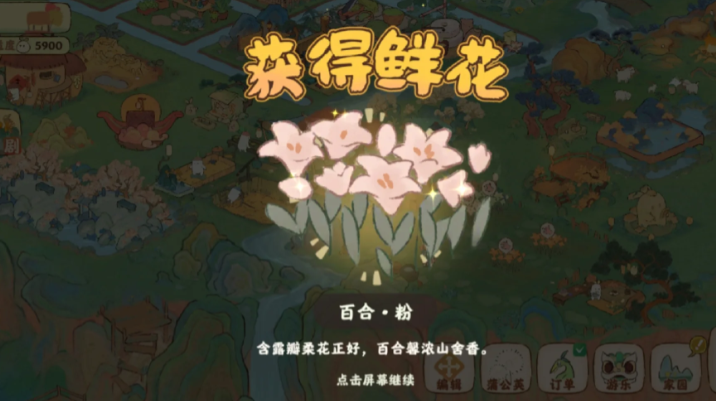 桃源深处有人家粉百合怎么培育 桃源深处有人家粉百合怎么培育