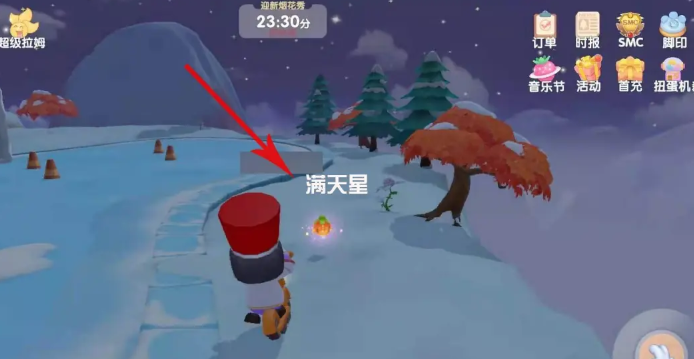 摩尔庄园手游怎么拾取满天星花