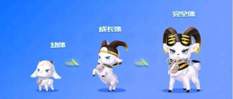 qq飞车手游免费宠物哪个最好