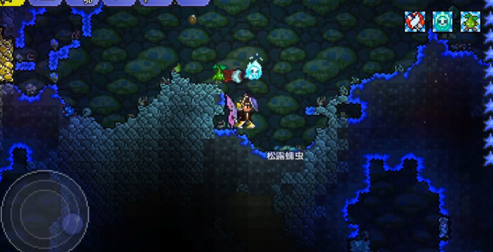 泰拉瑞亚松露虫在哪抓