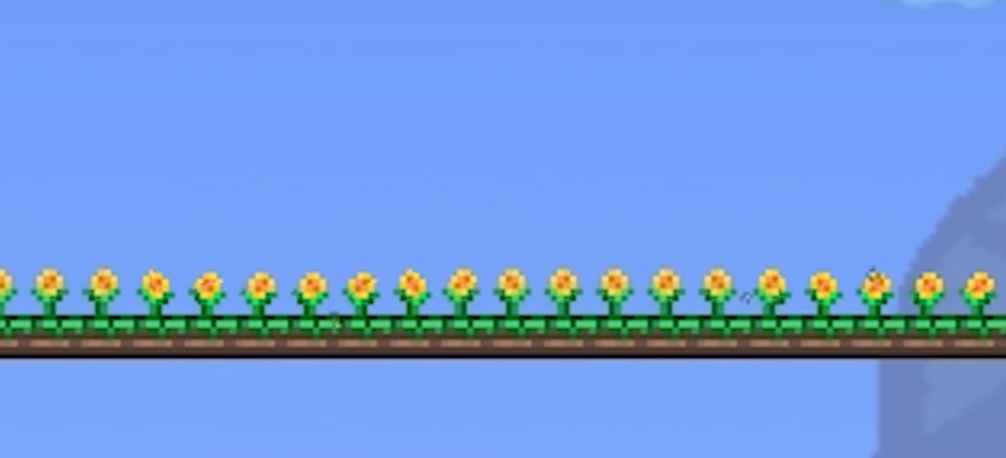 泰拉瑞亚太阳花种子怎么弄