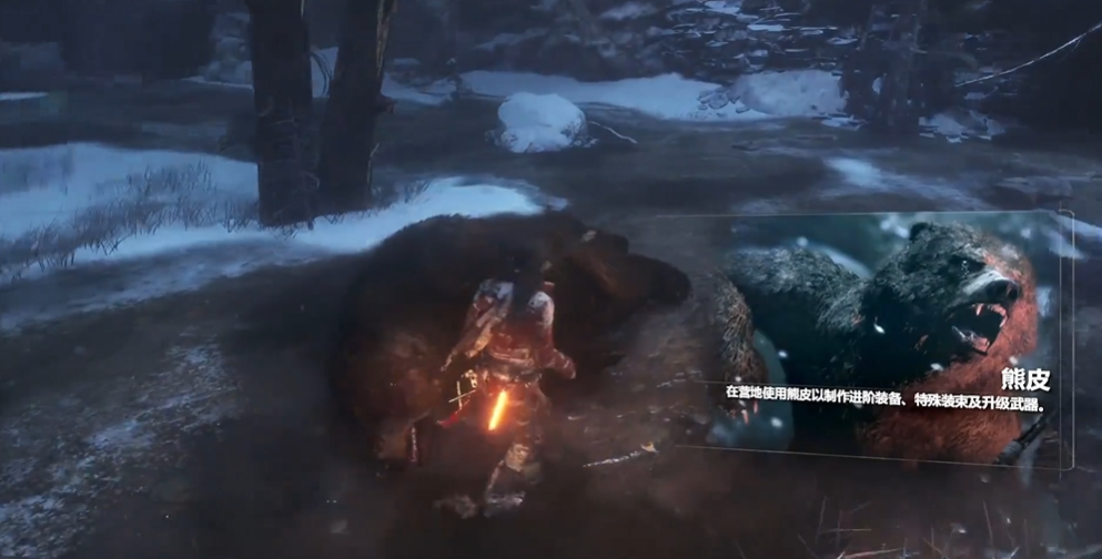 古墓丽影熊皮怎么得