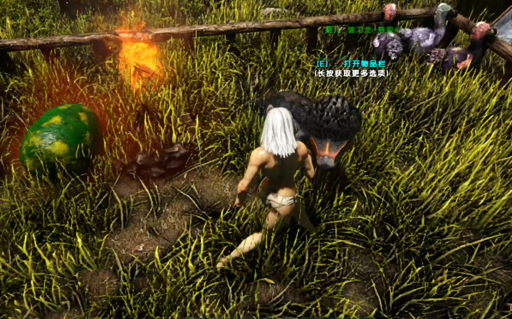 方舟生存进化中镰刀龙吃什么饲料