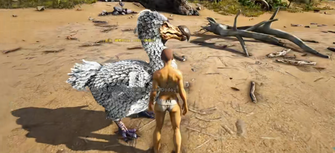 方舟生存进化仙境龙蛋怎么孵化