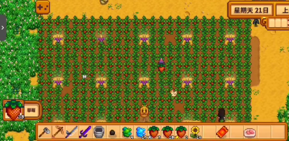 星露谷物语春天怎么赚钱