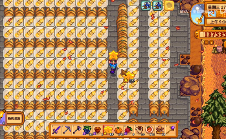 星露谷物语杨桃怎么卖最赚钱