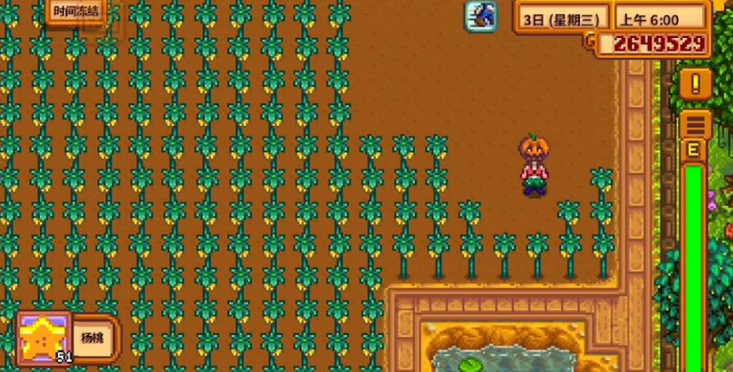 星露谷物语杨桃怎么卖最赚钱