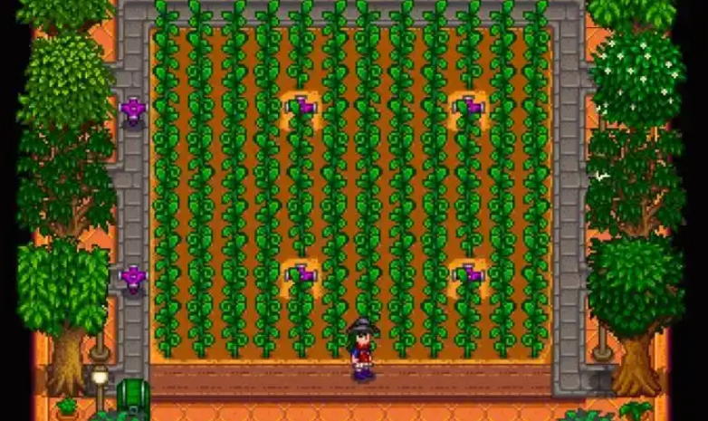 星露谷物语洒水器怎么用