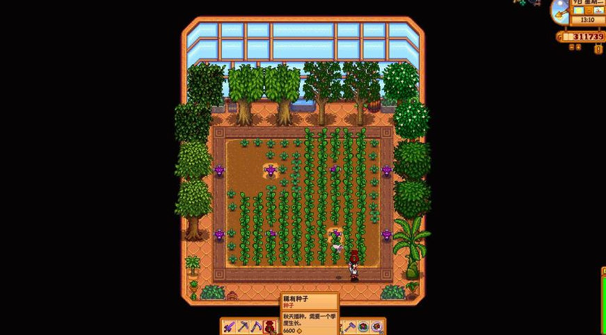 星露谷物语稀有种子怎么种 星露谷物语稀有种子怎么种