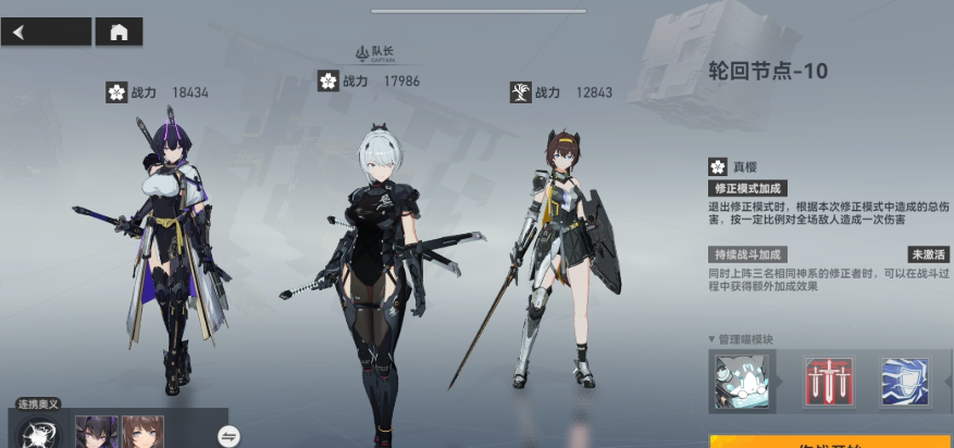 深空之眼双人奥义有用吗