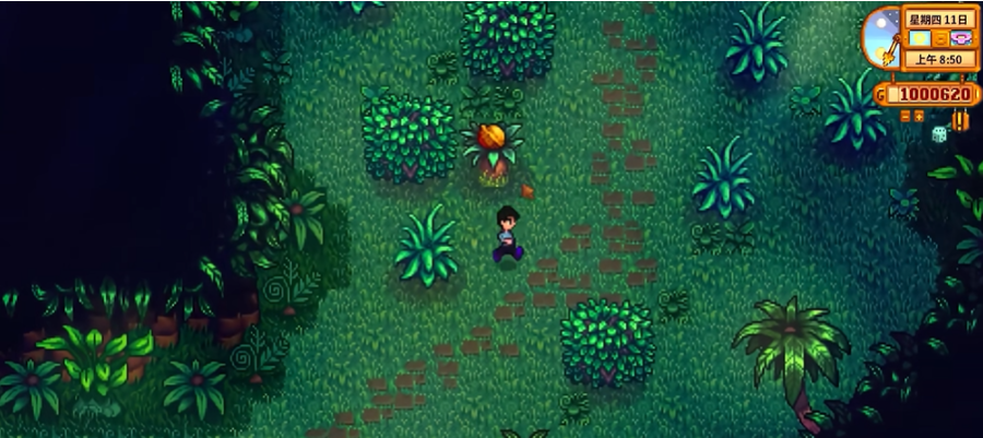 星露谷物语姜岛金核桃任务怎么做