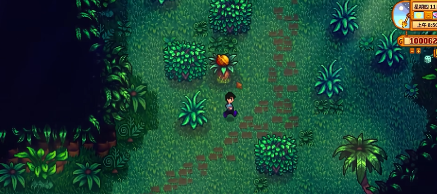 星露谷物语姜岛怎么去东边