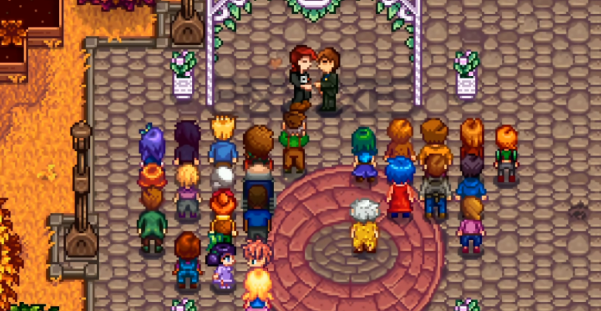 星露谷物语怎么有小孩 星露谷物语怎么有小孩