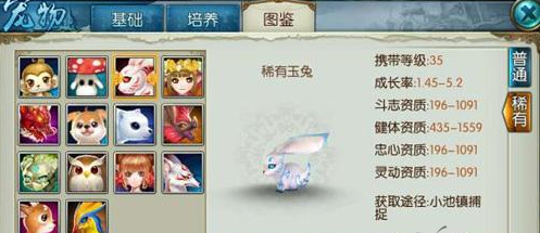 诛仙手游稀有兔怎么加点