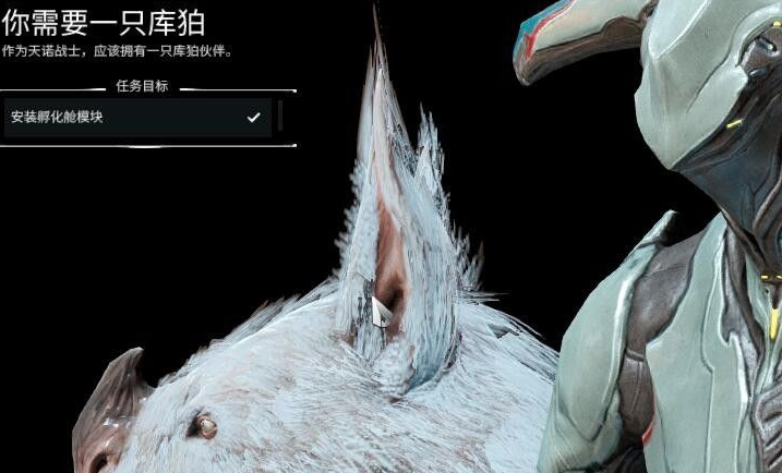 星际战甲库狛的蛋怎么找