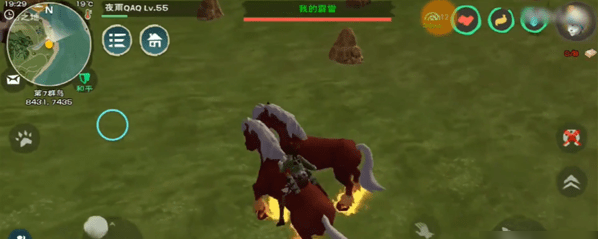 创造与魔法火马饲料怎么做